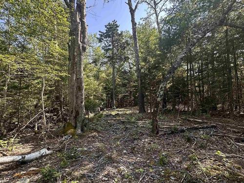 Lot 51 Island View Terrace, Labelle, NS 