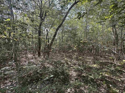 Lot 51 Island View Terrace, Labelle, NS 