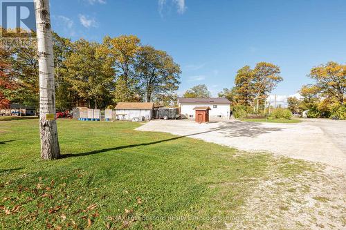 24 Indianola Crescent, Wasaga Beach, ON - Outdoor