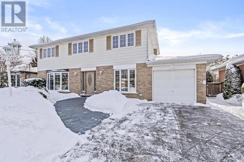 29 Stockman Crescent, Halton Hills, ON - Outdoor With Facade