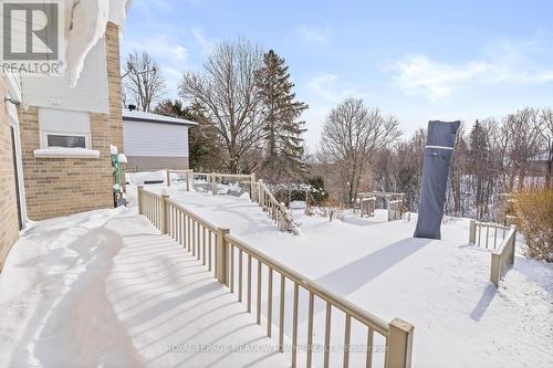 29 Stockman Crescent, Halton Hills, ON - Outdoor