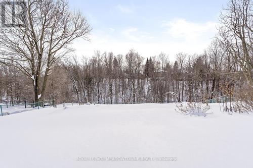 29 Stockman Crescent, Halton Hills, ON - Outdoor With View