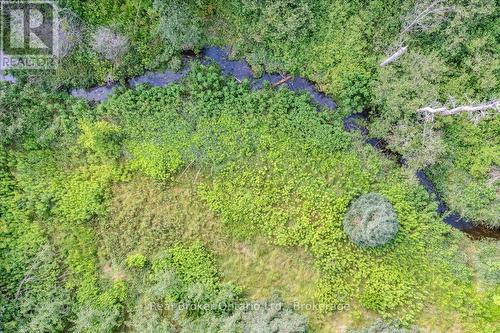 5409 Wellington 52 Road, Erin, ON 