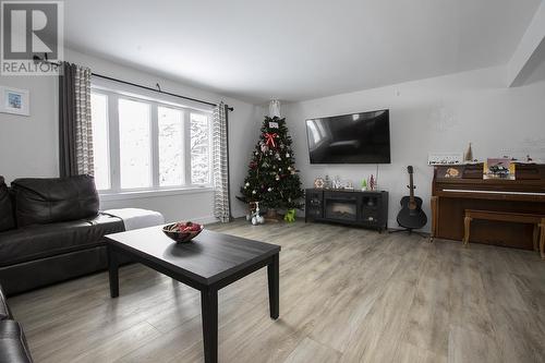 80 Trout Lake Rd, Heyden, ON - Indoor Photo Showing Living Room