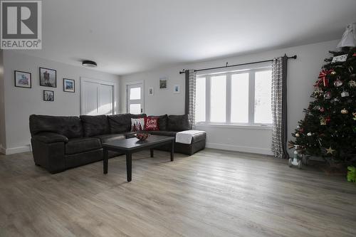 80 Trout Lake Rd, Heyden, ON - Indoor Photo Showing Living Room