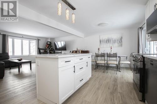 80 Trout Lake Rd, Heyden, ON - Indoor Photo Showing Kitchen