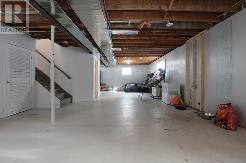 80 Trout Lake Rd, Heyden, ON - Indoor Photo Showing Basement