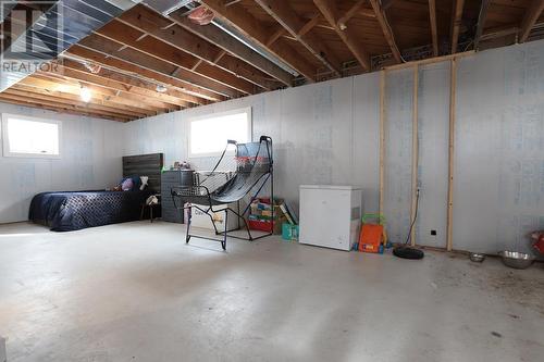 80 Trout Lake Rd, Heyden, ON - Indoor Photo Showing Basement