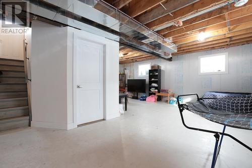 80 Trout Lake Rd, Heyden, ON - Indoor Photo Showing Basement