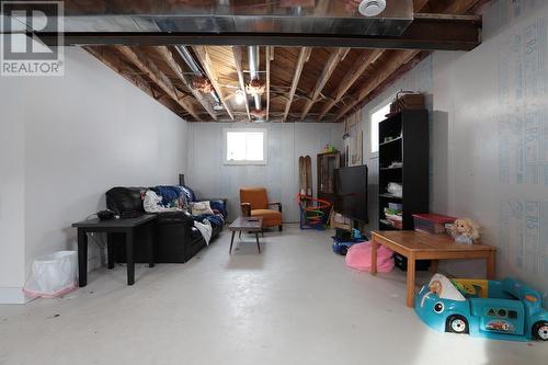 80 Trout Lake Rd, Heyden, ON - Indoor Photo Showing Basement