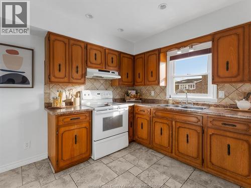 26 Lutsch Avenue, Leamington, ON - Indoor Photo Showing Kitchen With Double Sink