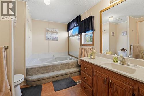 #47, 33009 Range Road 55, Rural Mountain View County, AB - Indoor Photo Showing Bathroom