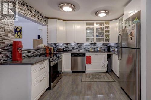 101, 1821 17A Street Sw, Calgary, AB - Indoor Photo Showing Kitchen With Stainless Steel Kitchen With Upgraded Kitchen