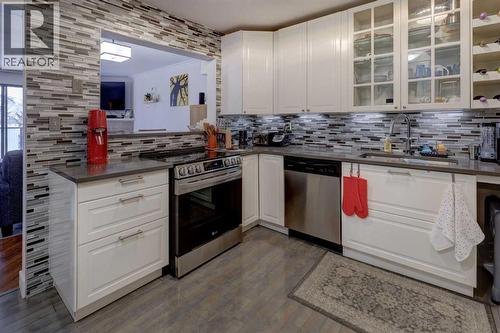 101, 1821 17A Street Sw, Calgary, AB - Indoor Photo Showing Kitchen