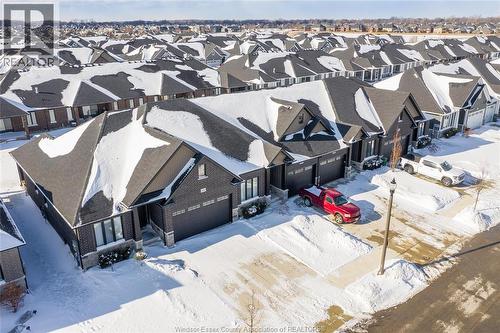 410 Caserta Crescent, Lakeshore, ON - Outdoor