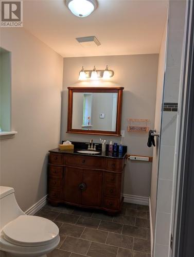 401A Main Street N, Glovertown, NL - Indoor Photo Showing Bathroom