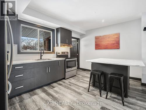 197 Lincoln Street, Welland (Lincoln/Crowland), ON - Indoor Photo Showing Kitchen