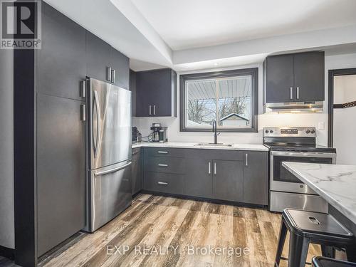 197 Lincoln Street, Welland (Lincoln/Crowland), ON - Indoor Photo Showing Kitchen With Stainless Steel Kitchen With Upgraded Kitchen