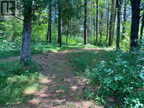 959 Bathurst 6 Concession, Tay Valley, ON - Outdoor