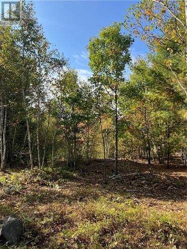 Lot 0 Middle Lake Road, Greater Sudbury, ON 