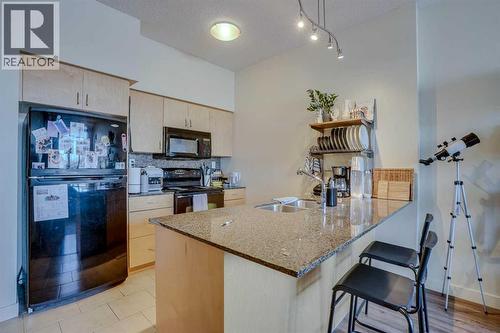 101, 8710 Horton Road Sw, Calgary, AB - Indoor Photo Showing Kitchen With Double Sink