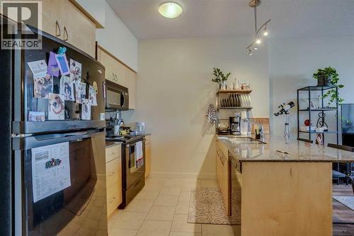101, 8710 Horton Road Sw, Calgary, AB - Indoor Photo Showing Kitchen With Double Sink