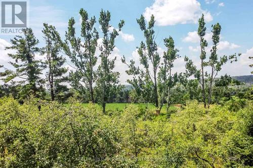 2928 12 Line N, Oro-Medonte, ON 