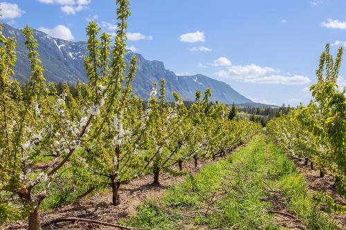 3851 3 Highway, Erickson, BC 