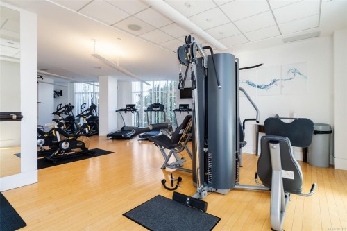 208-100 Saghalie Rd, Victoria, BC - Indoor Photo Showing Gym Room