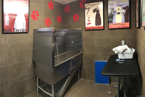 208-100 Saghalie Rd, Victoria, BC - Indoor