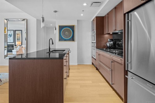 208-100 Saghalie Rd, Victoria, BC - Indoor Photo Showing Kitchen With Double Sink With Upgraded Kitchen