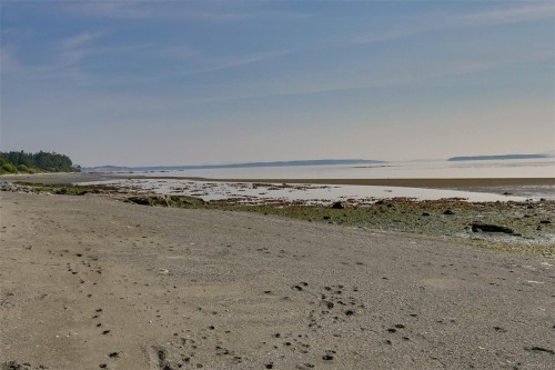 5299 Parker Ave, Saanich, BC 