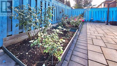 10 Majestic Drive, Markham, ON - Outdoor