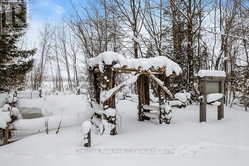 VEGETABLE GARDEN AREA - 418573 Concession A, Meaford, ON - Outdoor