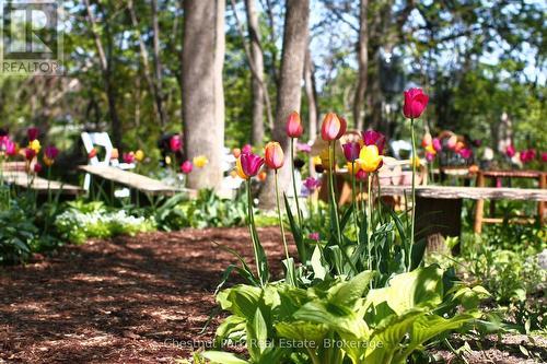 SUMMER GARDENS - 418573 Concession A, Meaford, ON - Outdoor