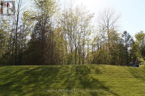 OPEN AREA - 418573 Concession A, Meaford, ON - Outdoor