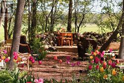 SITTING AREA IN WOODS - 