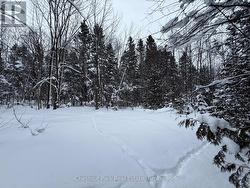 OPEN SPACE TO SPOT WILDLIFE - 