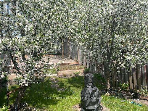 389 Ferndale Drive S, Barrie, ON - Outdoor