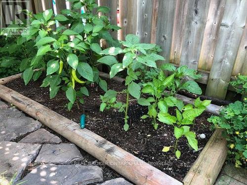 389 Ferndale Drive S, Barrie, ON - Outdoor