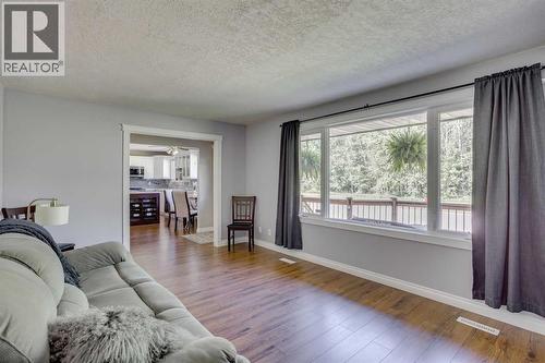 173 Hilltop Crescent, Fort Mcmurray, AB - Indoor Photo Showing Living Room