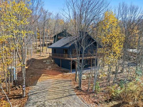 125 Rue Paulsen  Sainte-Agathe-Des-Monts, QC J8C 0X1