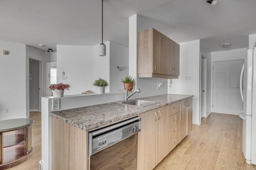 Cuisine - 303-234 Rue Commerciale, Saint-Henri, QC - Indoor Photo Showing Kitchen