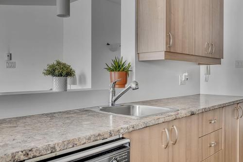 Cuisine - 303-234 Rue Commerciale, Saint-Henri, QC - Indoor Photo Showing Kitchen