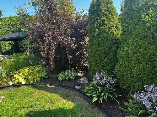 Backyard - 13715 Rue Du Noroît, Mirabel, QC - Outdoor