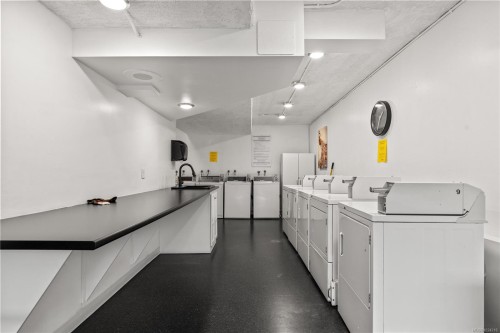 309-1419 Stadacona Ave, Victoria, BC - Indoor Photo Showing Laundry Room