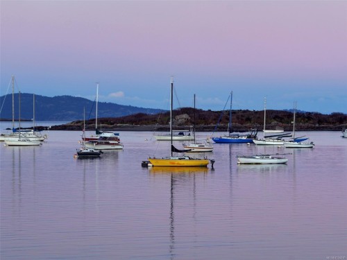 309-1419 Stadacona Ave, Victoria, BC - Outdoor With Body Of Water With View
