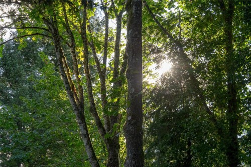 5410 Matson Rd, Ladysmith, BC 