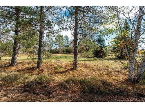 413 Bass River Point Rd, Bass River, NB 