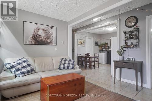 17 Shaw Avenue W, Cambridge, ON - Indoor Photo Showing Living Room